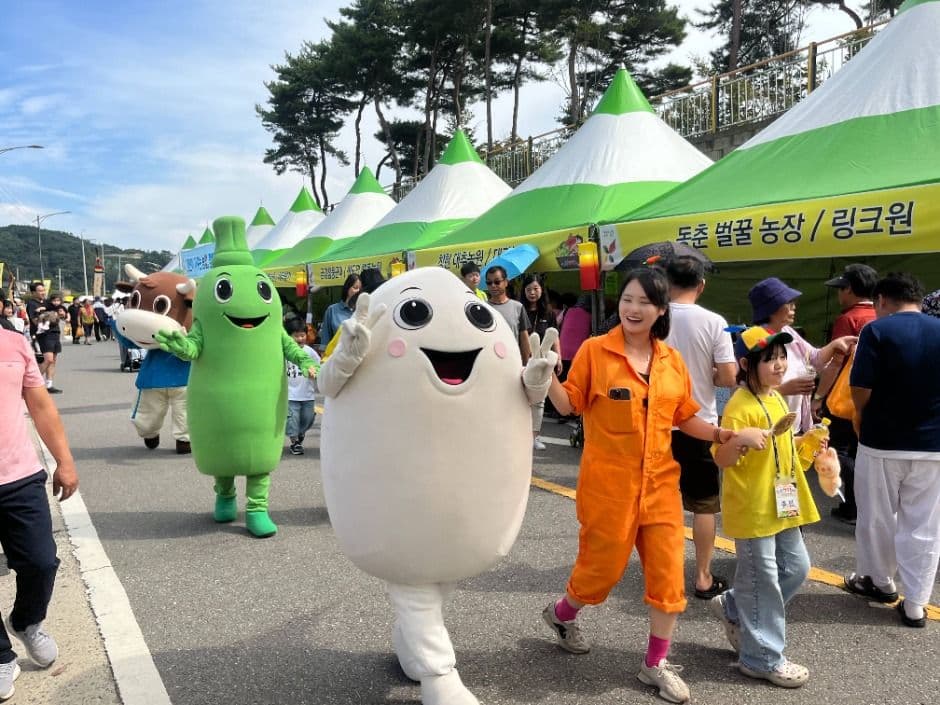 Cheongwon Saengmyeong Festival 1
