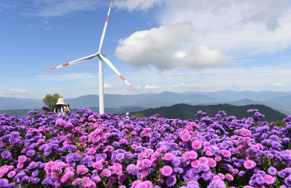 Geomaksan Flower and Star Journey 1