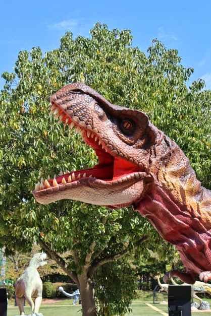 Gyeongnam Goseong Dinosaur World Expo 10