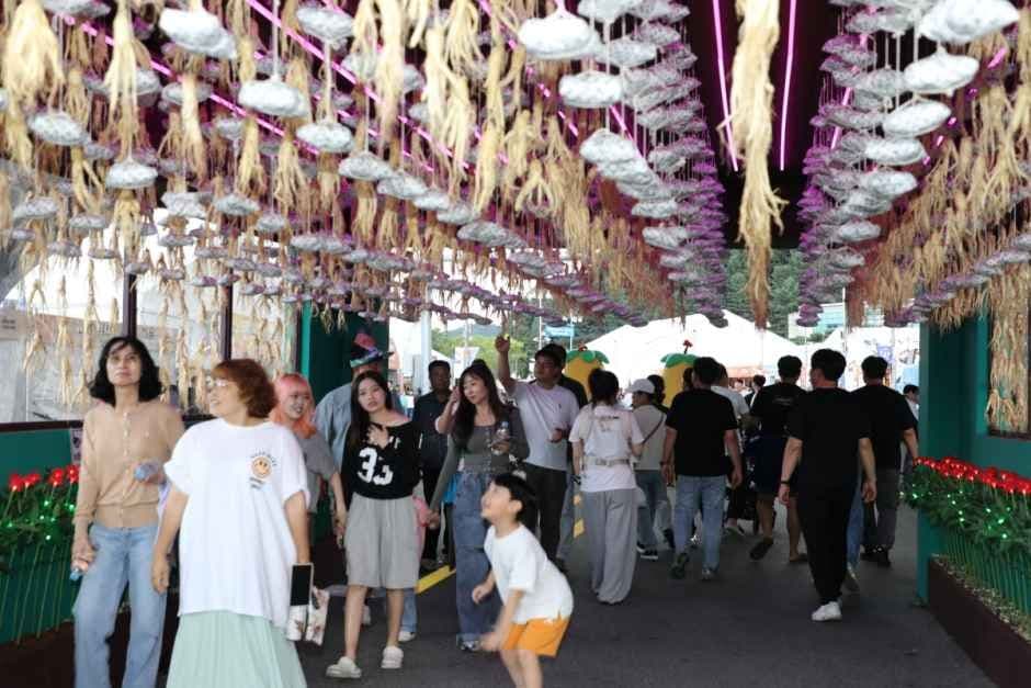 Geumsan World Insam Festival (금산세계인삼축제) 9