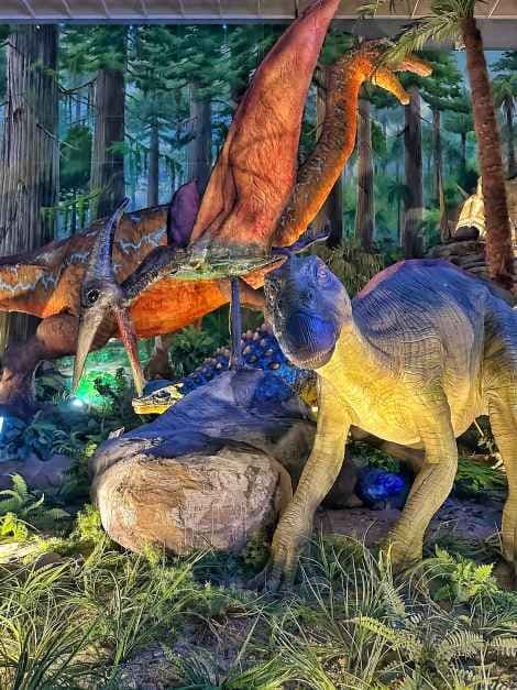 Gyeongnam Goseong Dinosaur World Expo 11