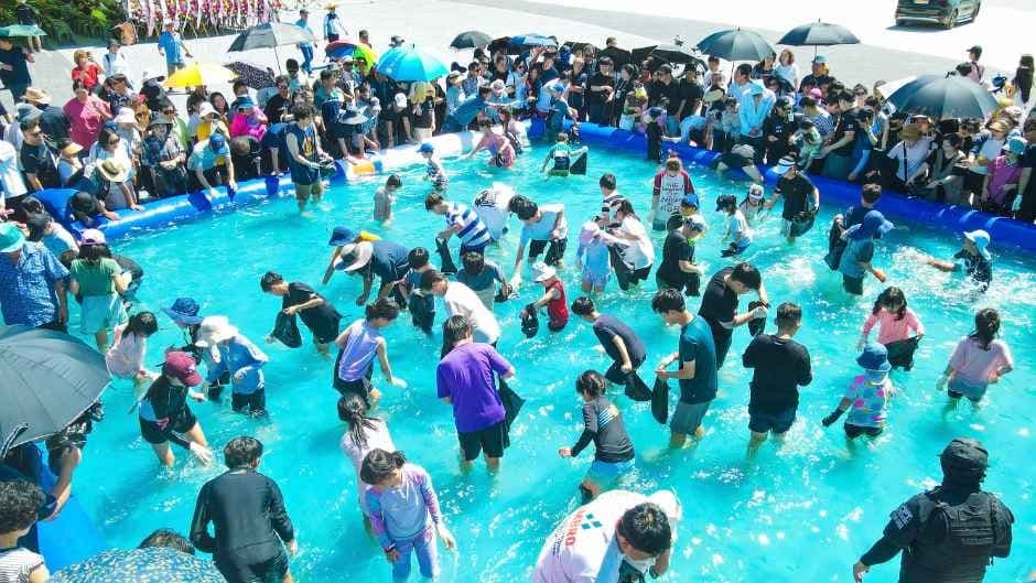 Hongseong Namdang Port Jumbo Shrimp Festival (홍성남당항 대하축제) 7