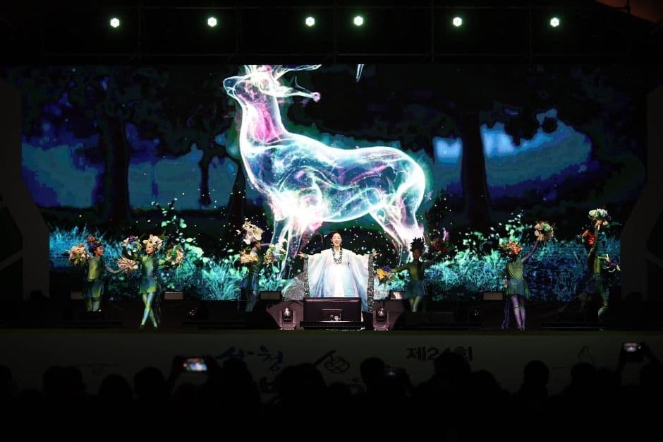 Sancheong Medicinal Herb Festival (산청한방약초축제) 7
