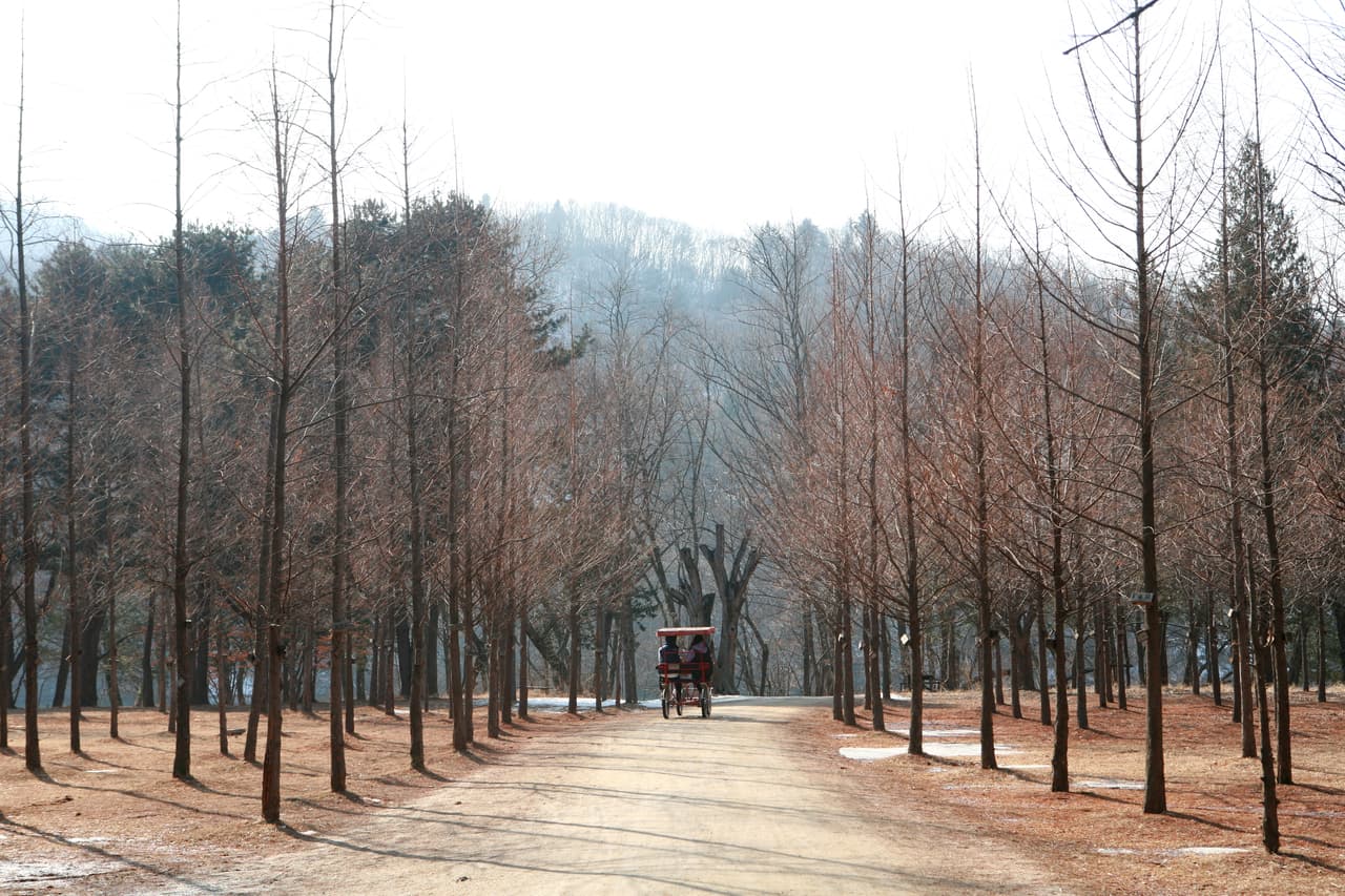 남이섬