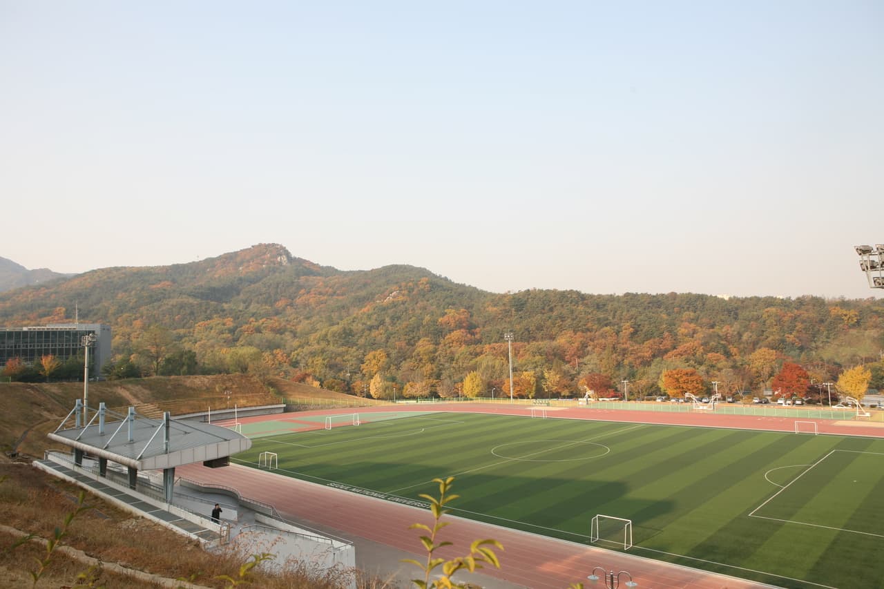 서울대학교