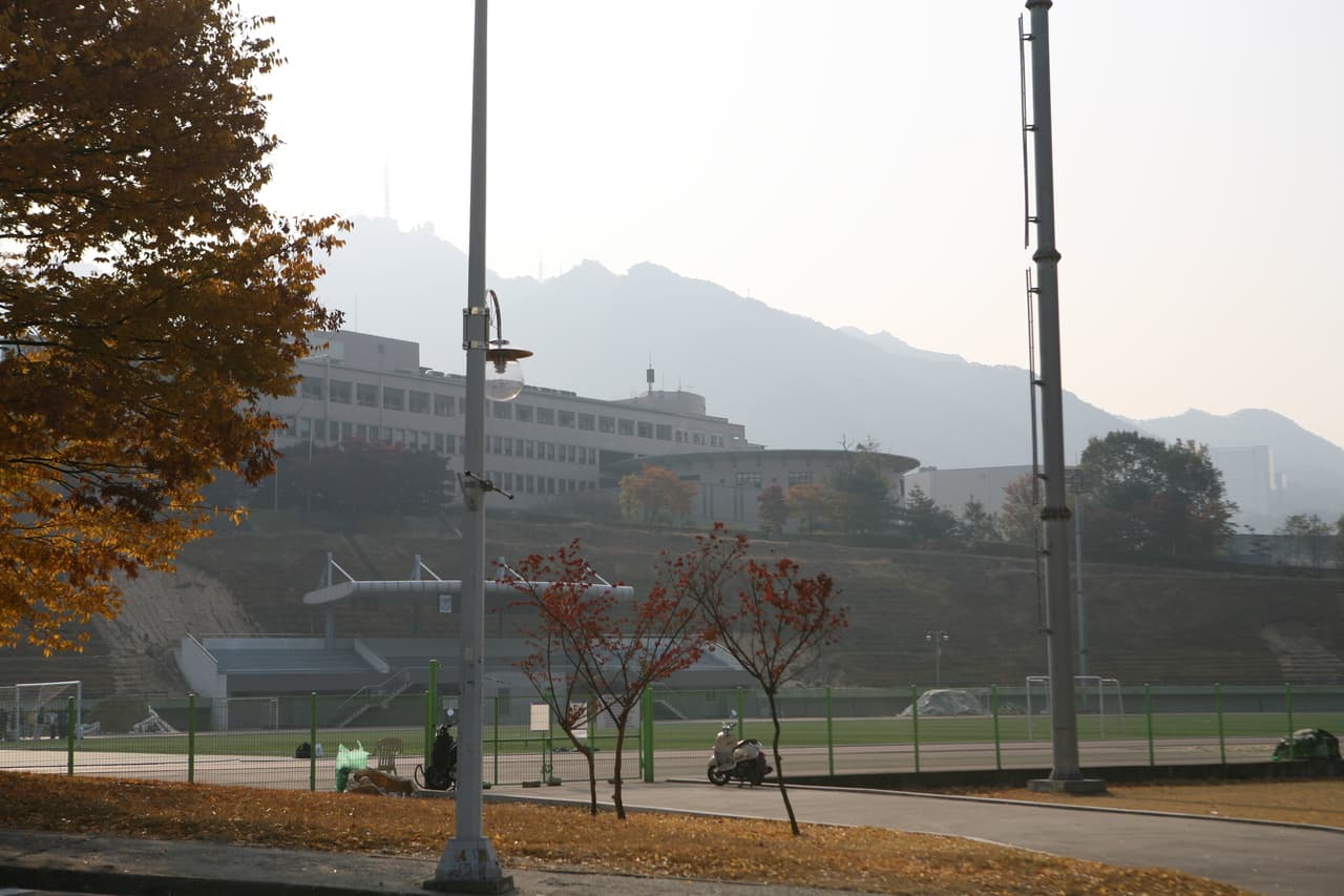 서울대학교